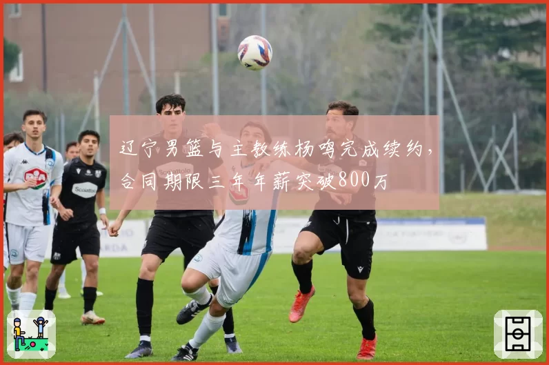 辽宁男篮与主教练杨鸣完成续约，合同期限三年年薪突破800万