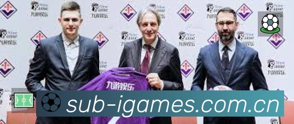 爱游戏安全价值